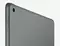 Планшет Apple iPad (9th Gen) 10.2 Wi-Fi 64Gb Space Grey - A2602